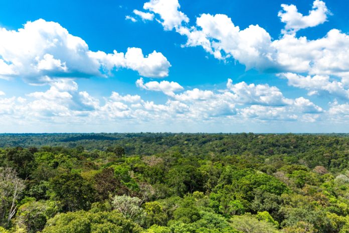 floresta-amazonica-318520802 Trecho da floresta Amazônica; preservar vegetação nativa é muito lucrativo para o Brasil, diz estudo.